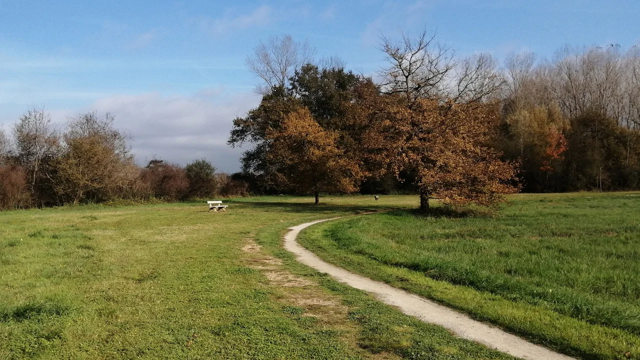 Running Fields II - 剧照