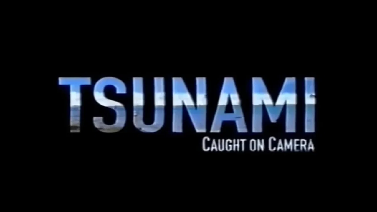 Tsunami: Caught on Camera - 剧照