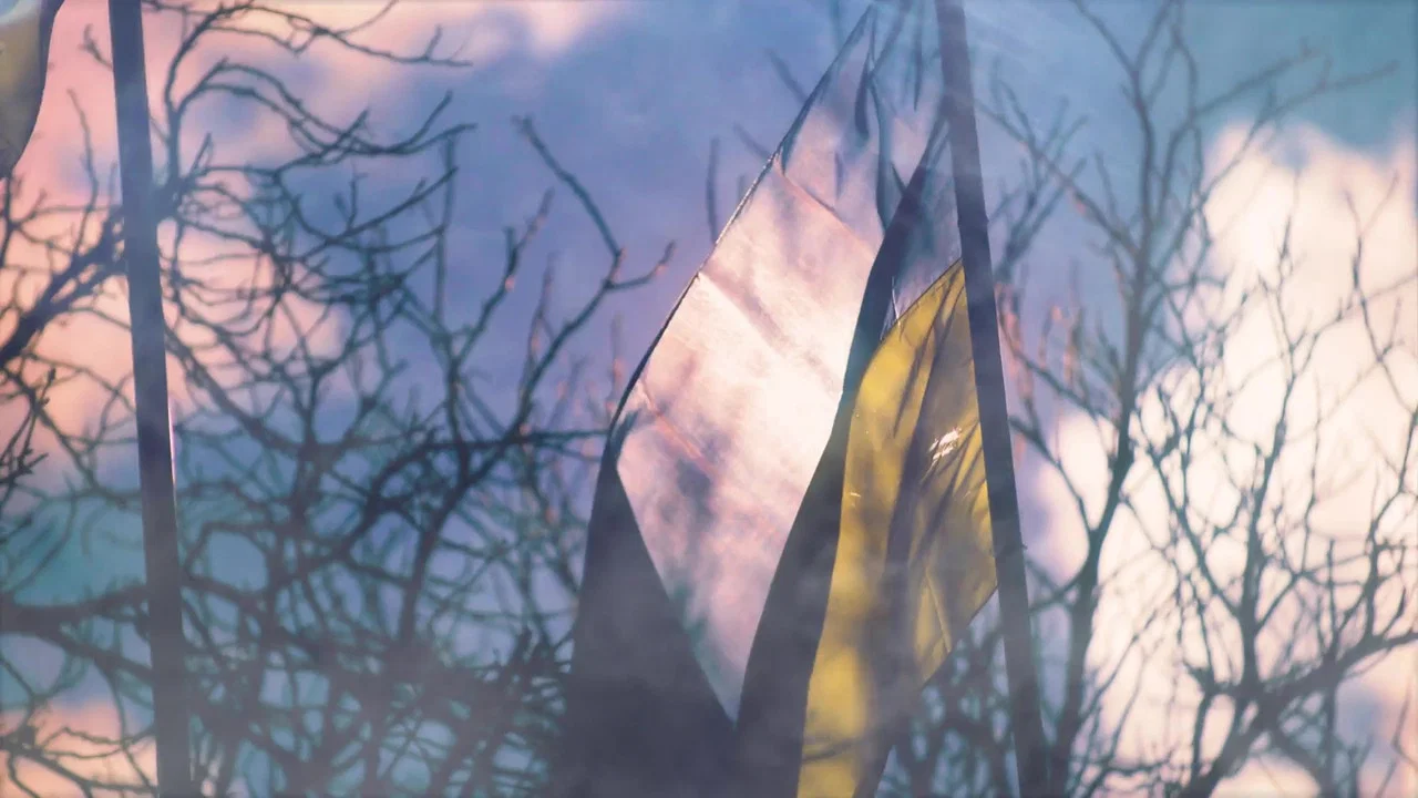 Despair and Defiance: The Battle for Ukraine - 剧照