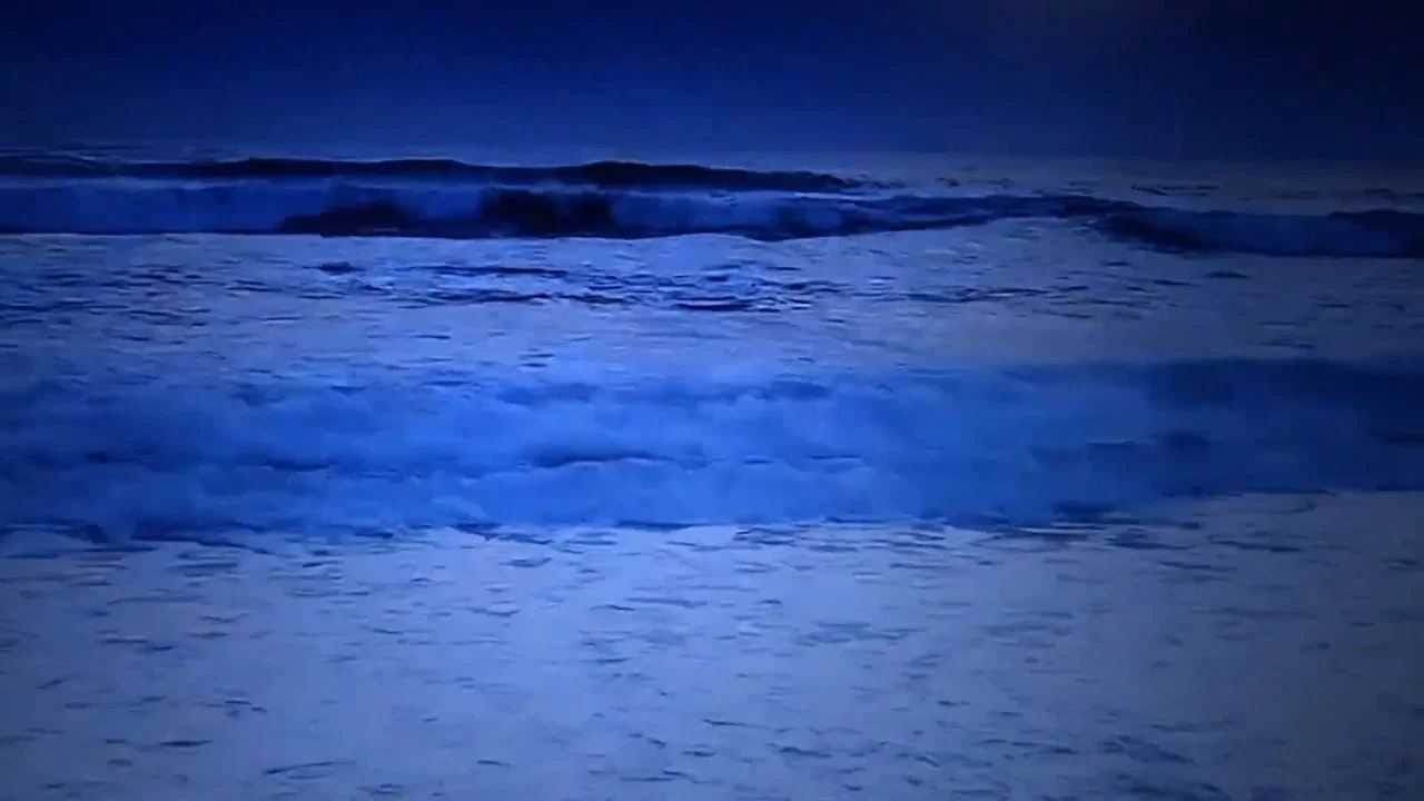 TUTA ; - 剧照