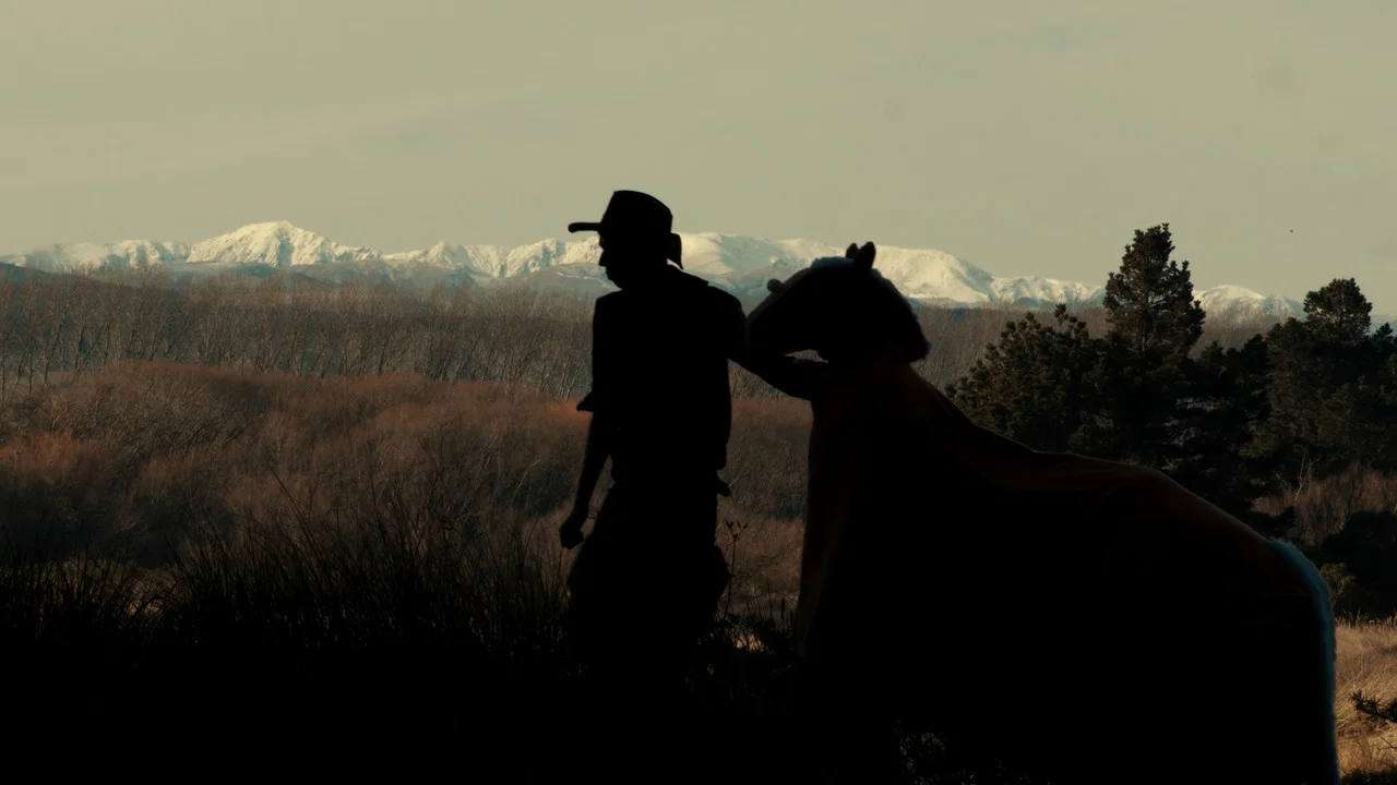 The True Story of Billy the Horse - 剧照