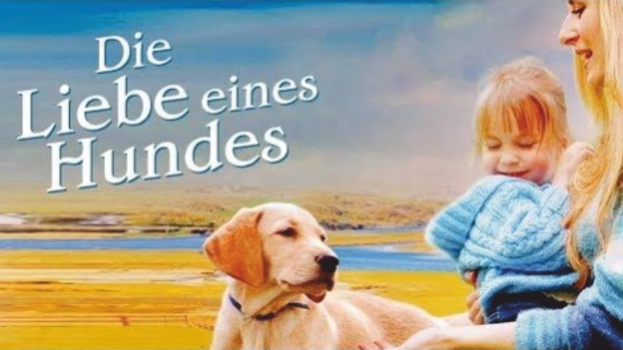 More Than Puppy Love - 剧照