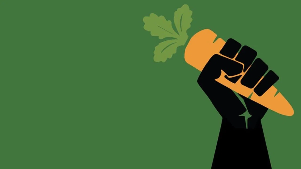The Invisible Vegan - 剧照