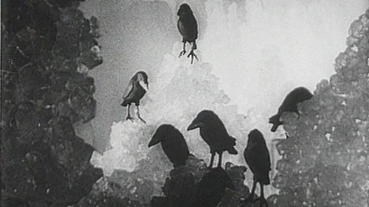 Die sieben Raben - 剧照