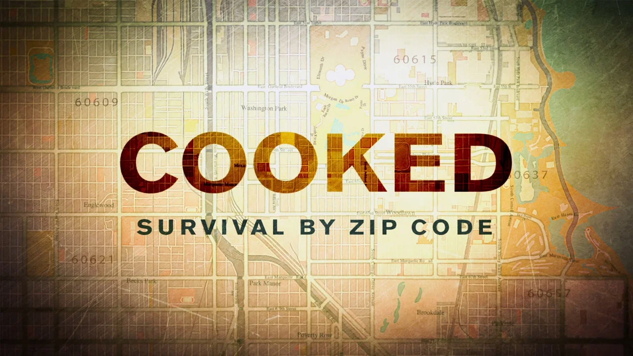 Cooked: Survival by Zip Code - 剧照