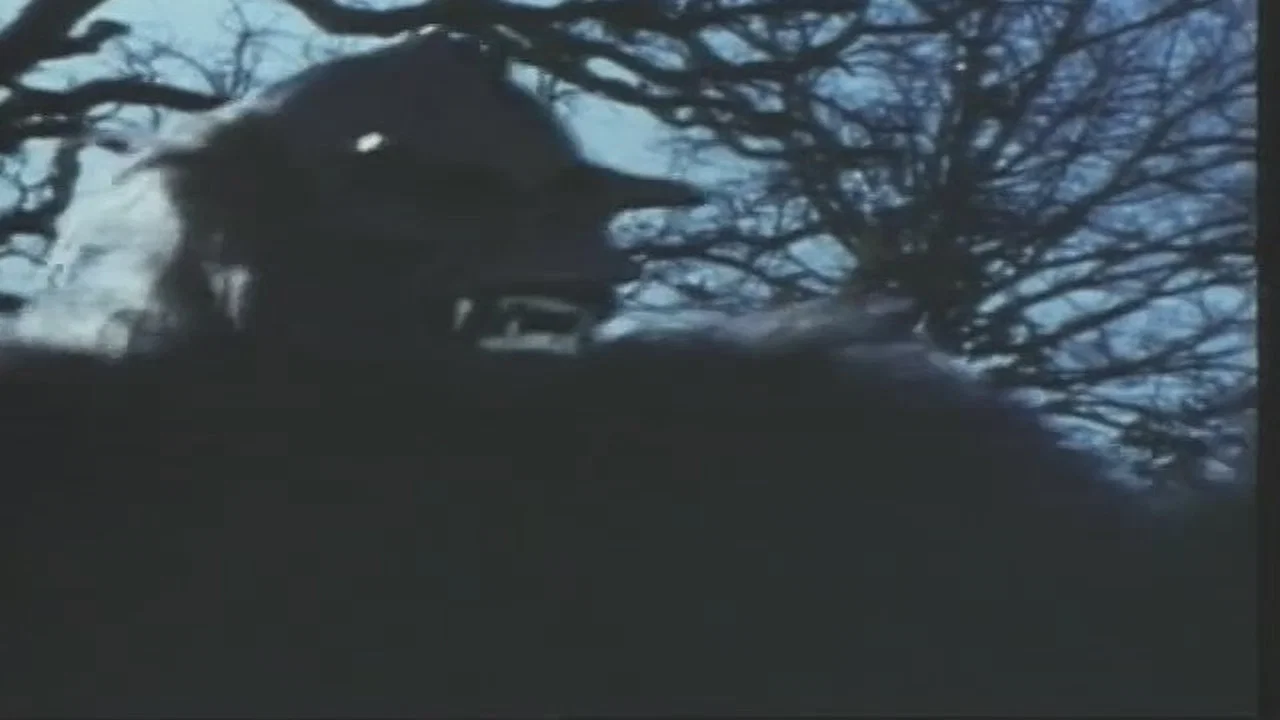 Night Fright - 剧照