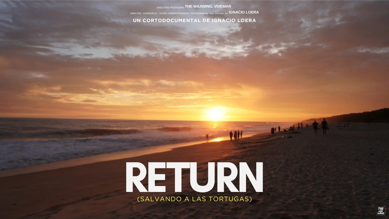 Return: Salvando a las Tortugas - 剧照