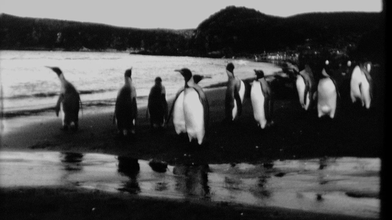 End of Summer - 剧照