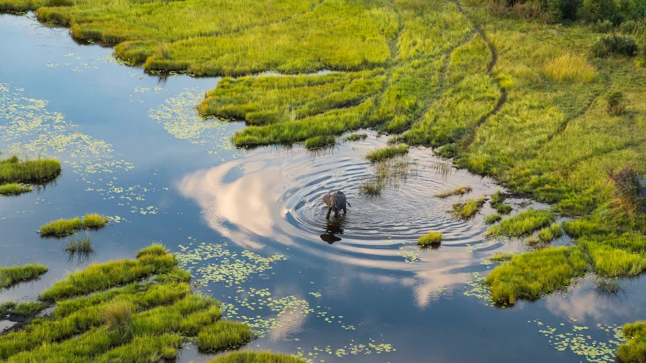 Okavango: A Flood of Life - 剧照