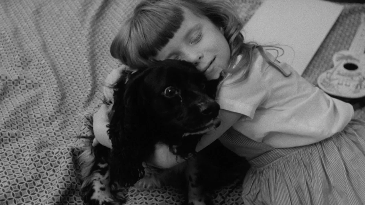 The Dog Lover - 剧照