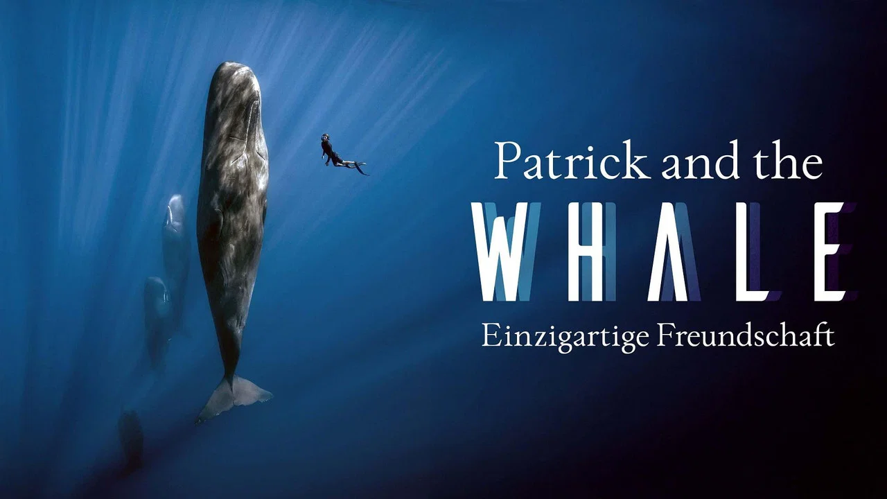 Patrick and the Whale - 剧照