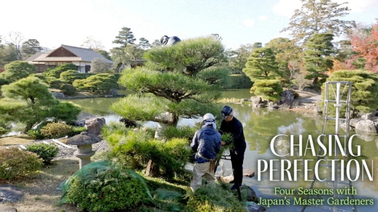 Chasing Perfection: Four Seasons with Japan's Master Gardeners - 剧照