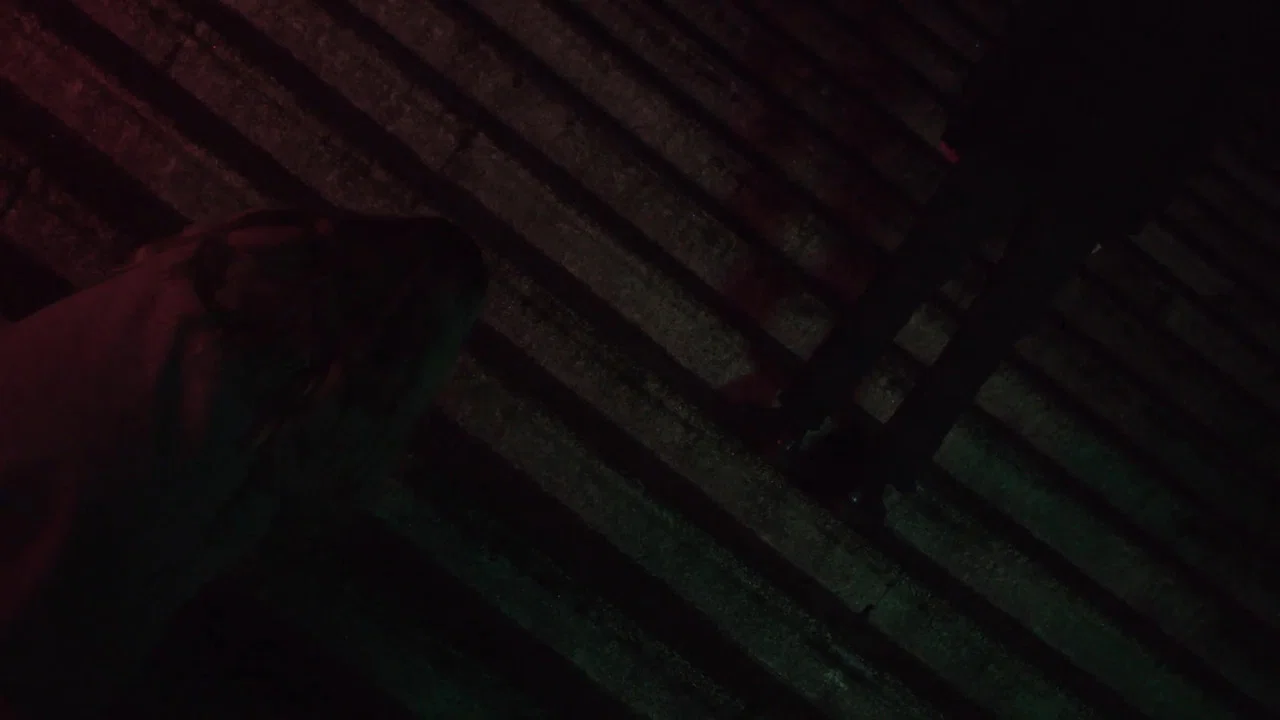 Platform - 剧照
