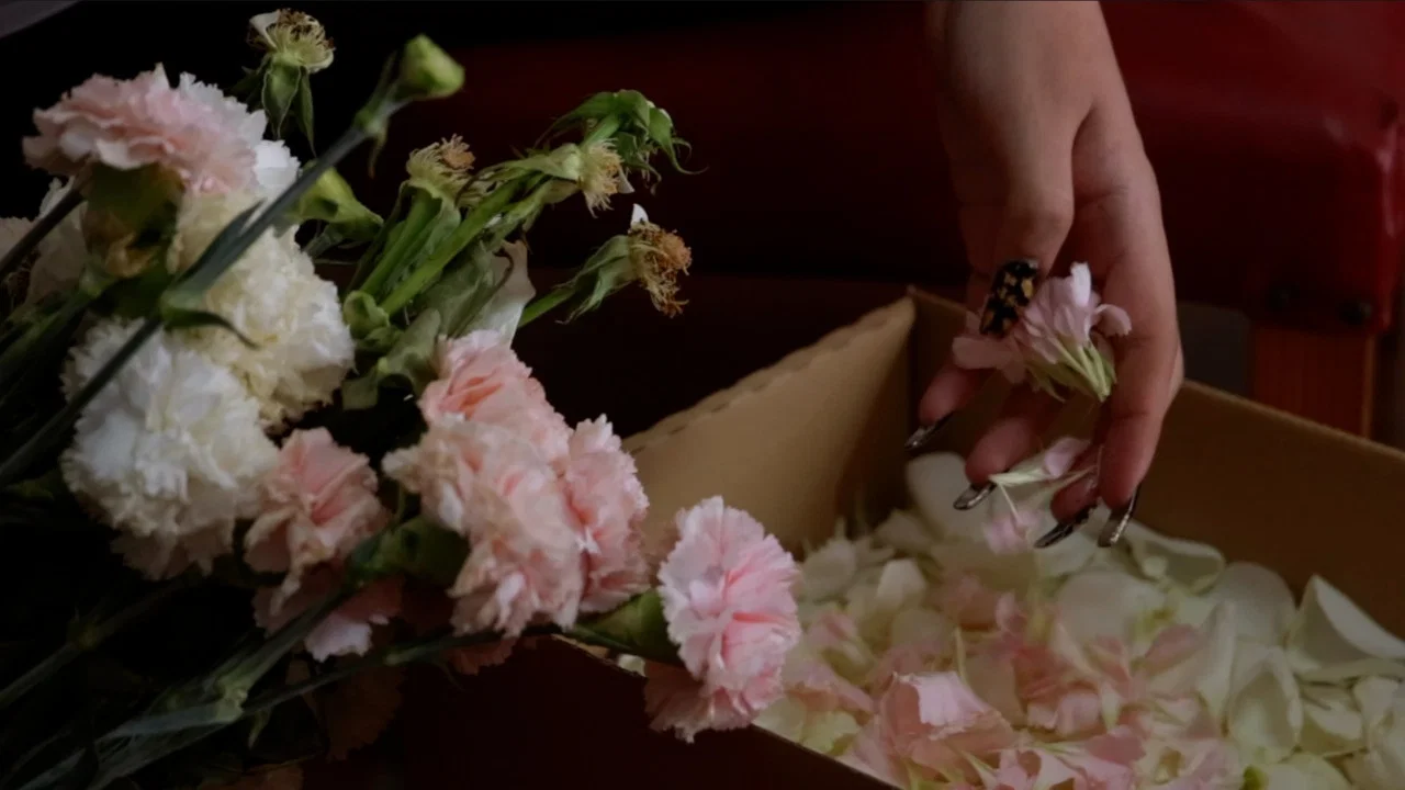 &iexcl;Dolores guapa! - 剧照