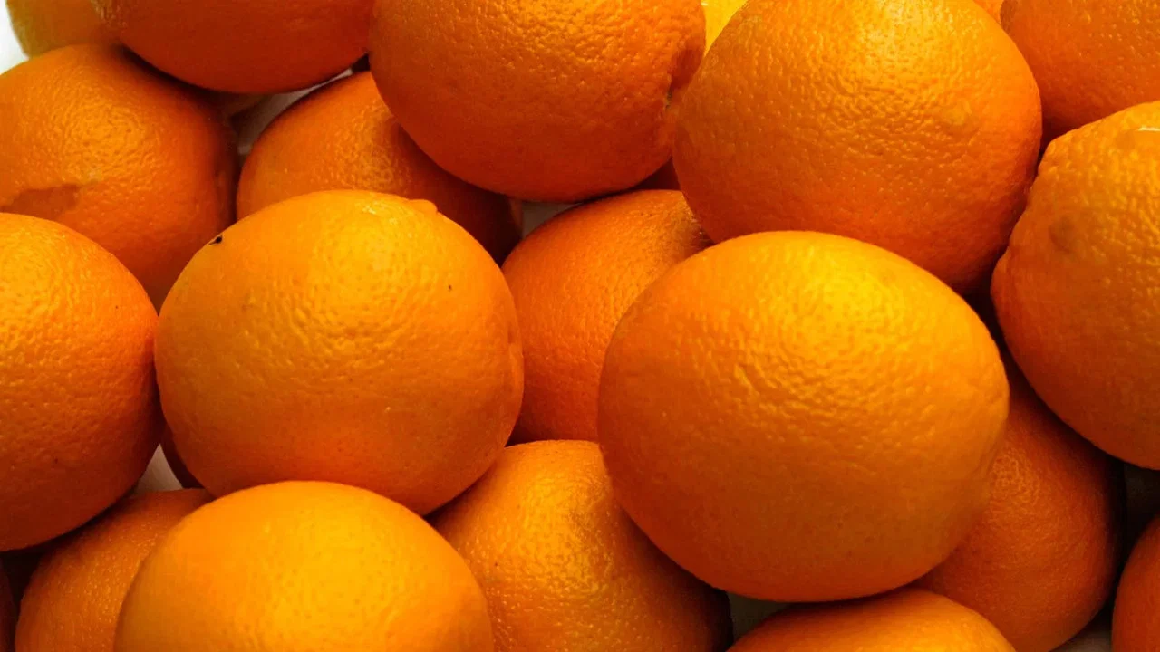 The Orange Man - 剧照