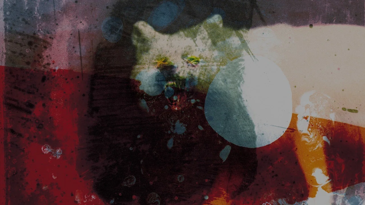Mogwai: As the Love Continues - 剧照