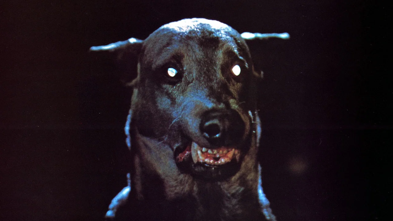 德拉库拉魔犬 - 剧照