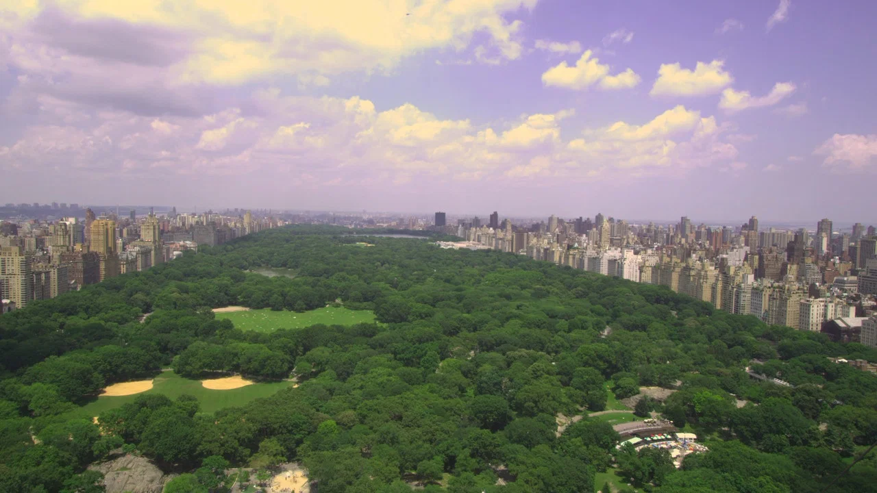 Olmsted and America's Urban Parks - 剧照