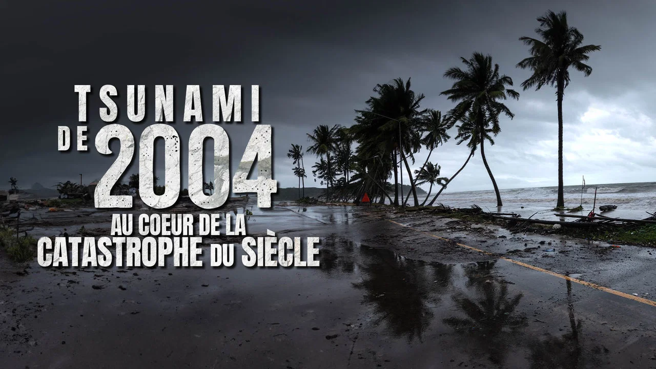 Tsunami 2004 : ils ont film&eacute; la catastrophe du si&egrave;cle - 剧照