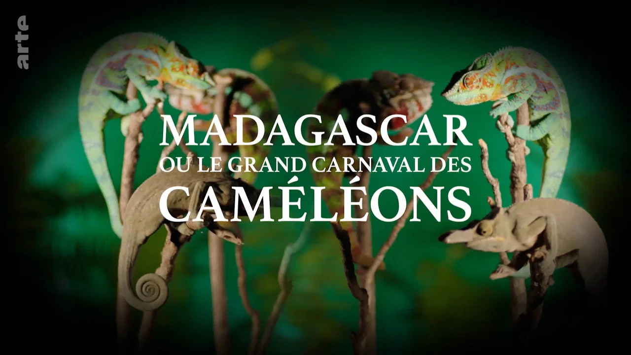 Madagascar or the Great Carnival of the Chameleons - 剧照