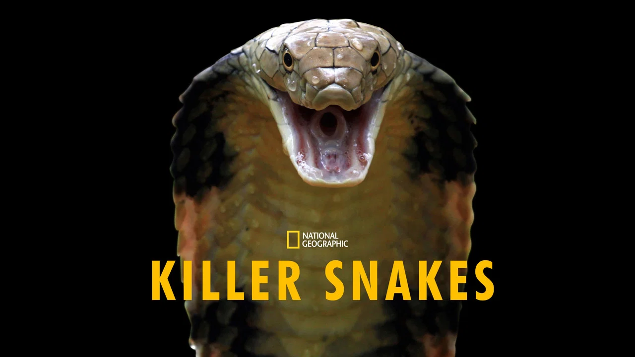 Killer Snakes - 剧照