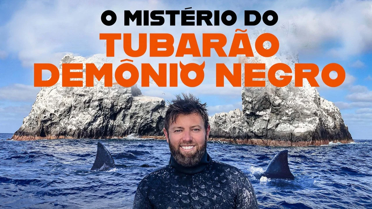 Mystery of the Black Demon Shark - 剧照
