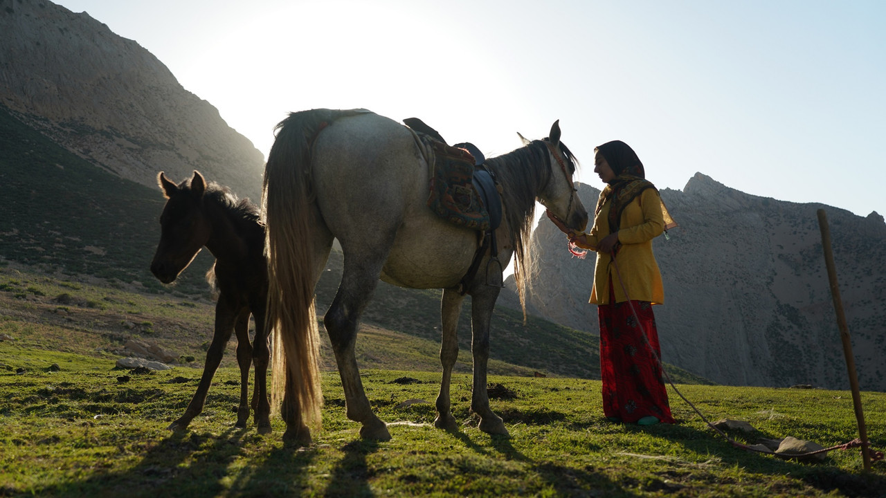 The Dream of a Horse - 剧照