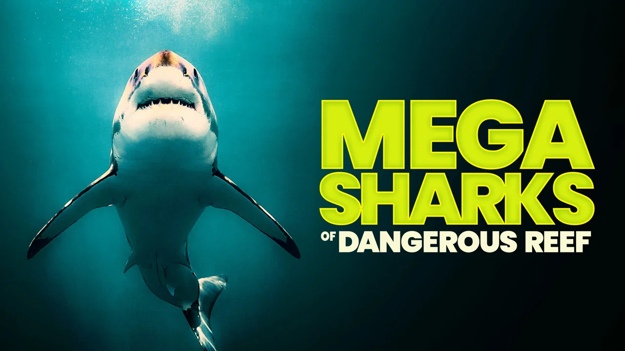 Megasharks of Dangerous Reef - 剧照