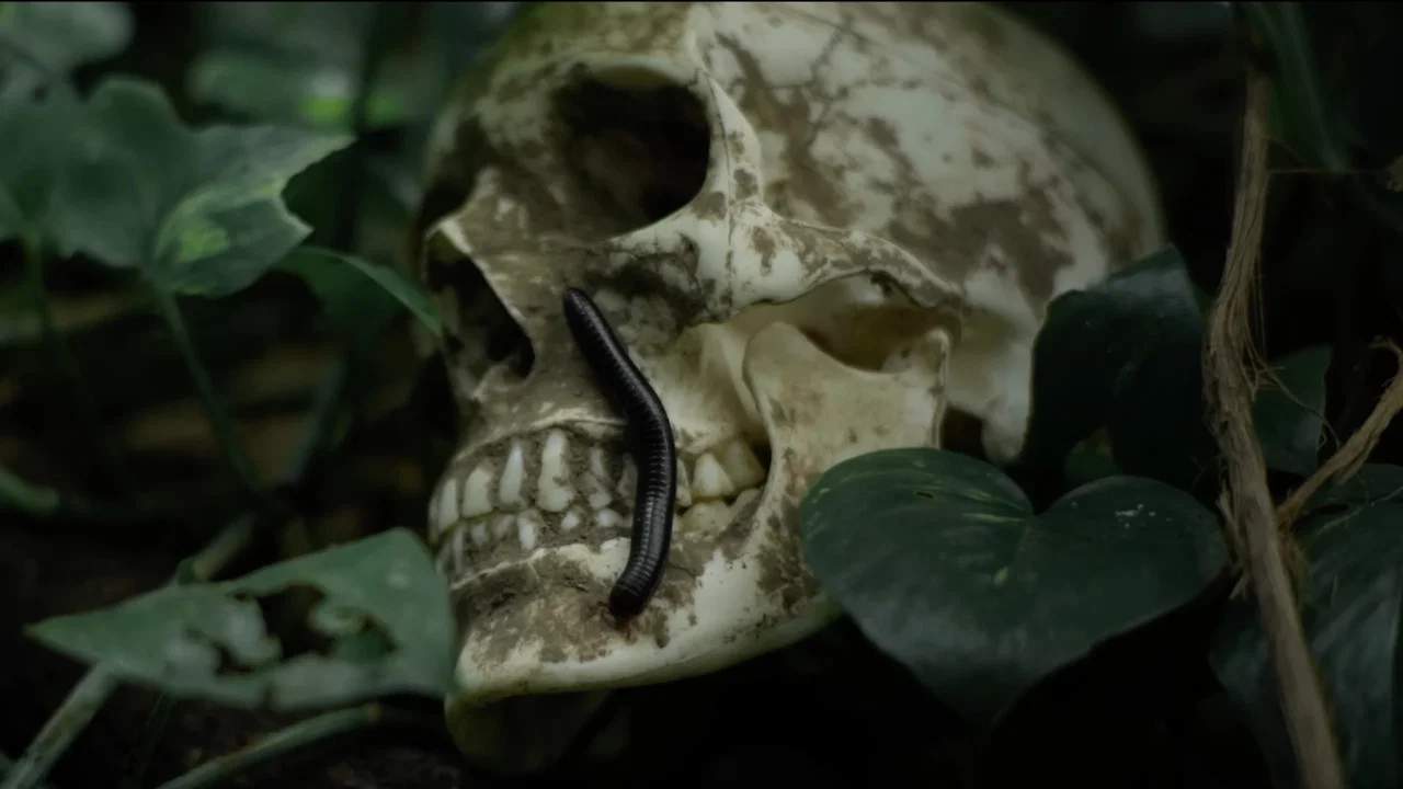 Sambhavam - 剧照