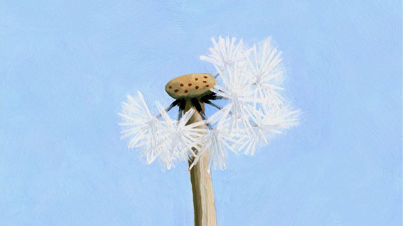 Wild Life - 剧照
