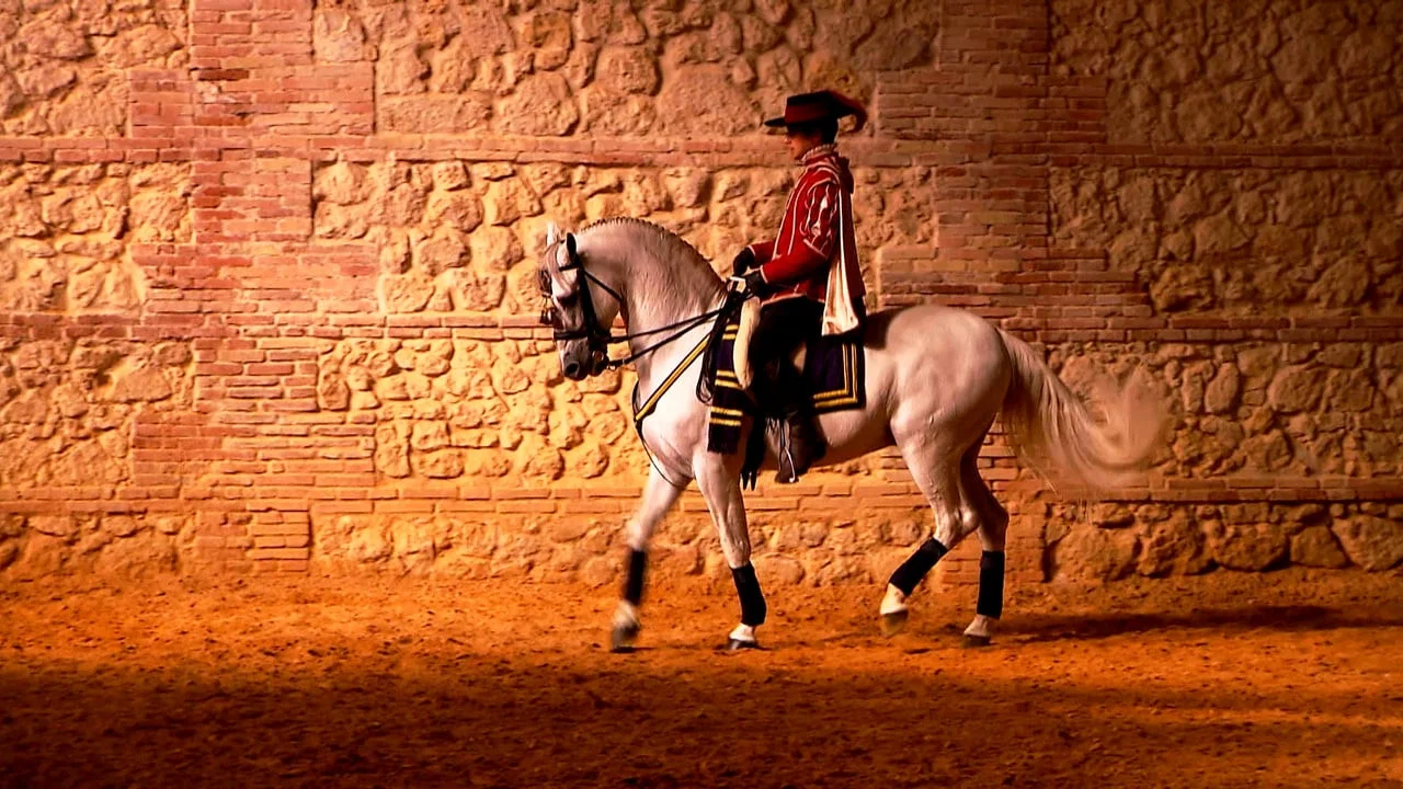 Horse of Kings, Thief of Hearts - 剧照