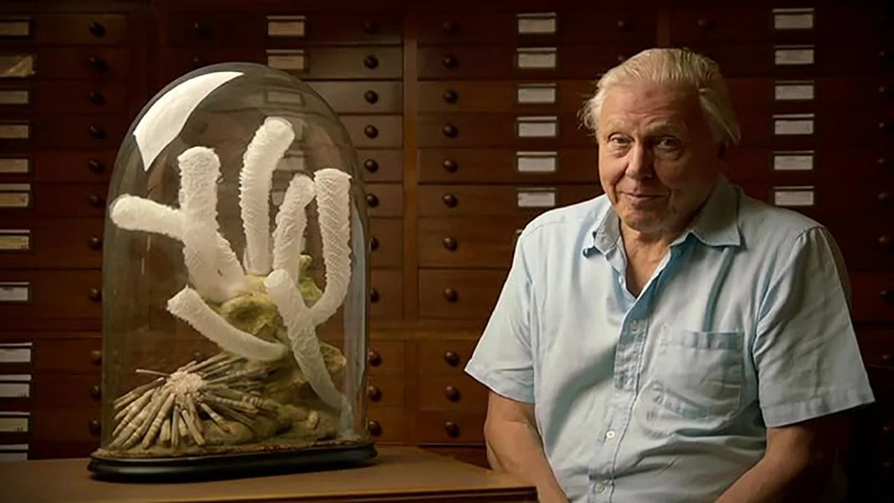 Attenborough's Ark - 剧照