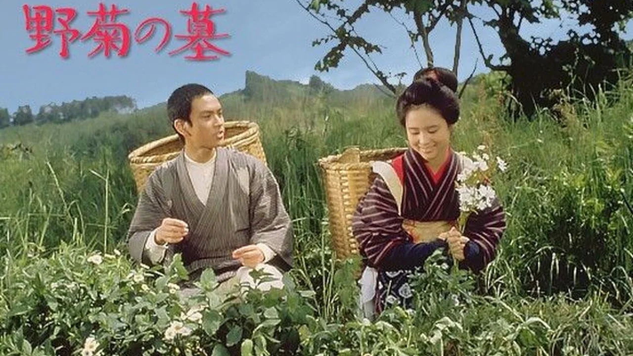 野菊之墓 - 剧照