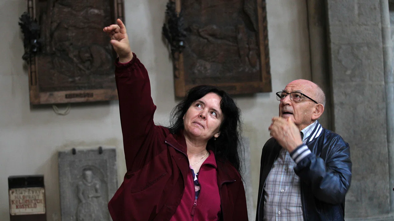 Mobilizace Lubo&scaron;e Dobrovsk&eacute;ho - 剧照