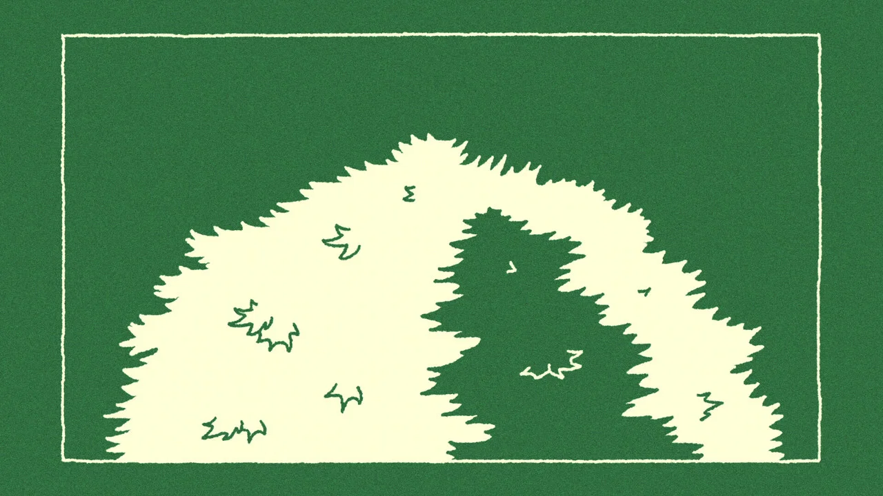 The Sycamore - 剧照