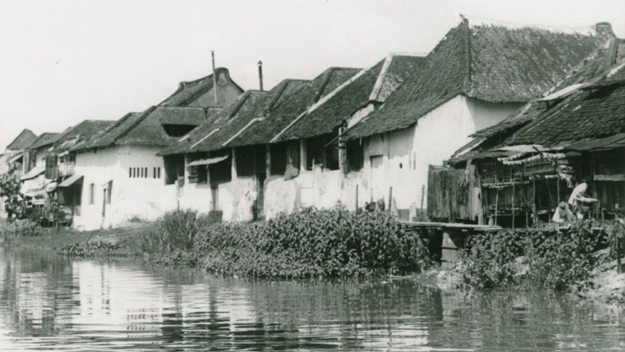 Bland malajer p&aring; Sumatra - 剧照