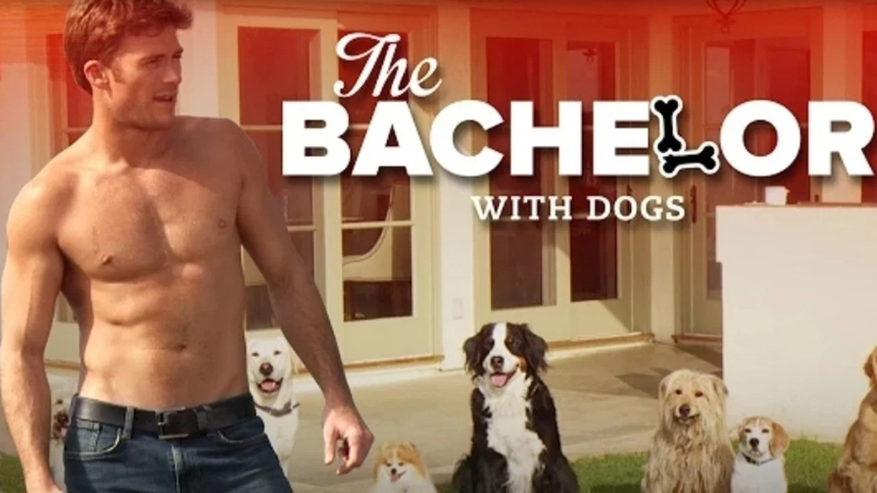 The Bachelor with Dogs and Scott Eastwood - 剧照