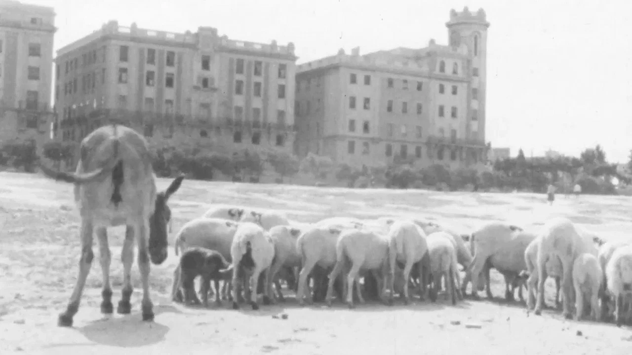 La primera mirada: historia de una escuela de cine - 剧照