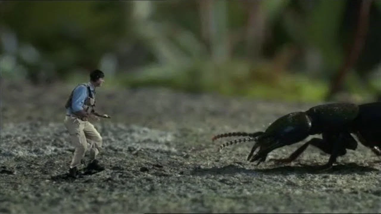 Help! I'm No Bigger Than a Bug - 剧照