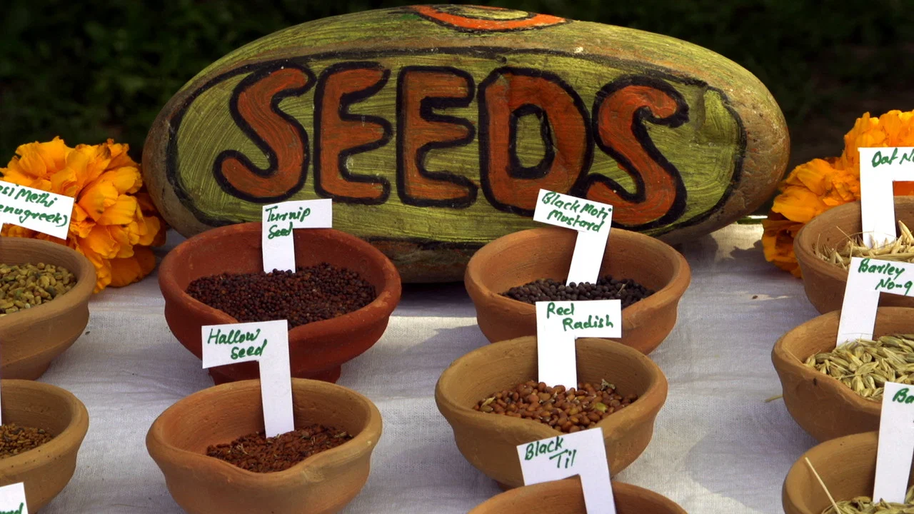 Seed: The Untold Story - 剧照
