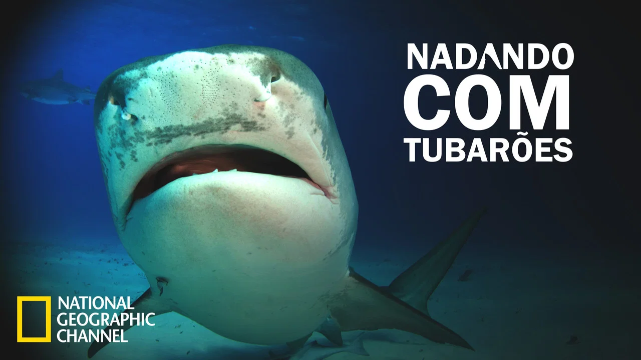 Shark Attack Experiment Live - 剧照