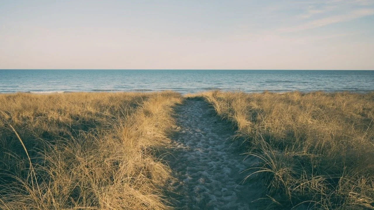 West Michigan - 剧照
