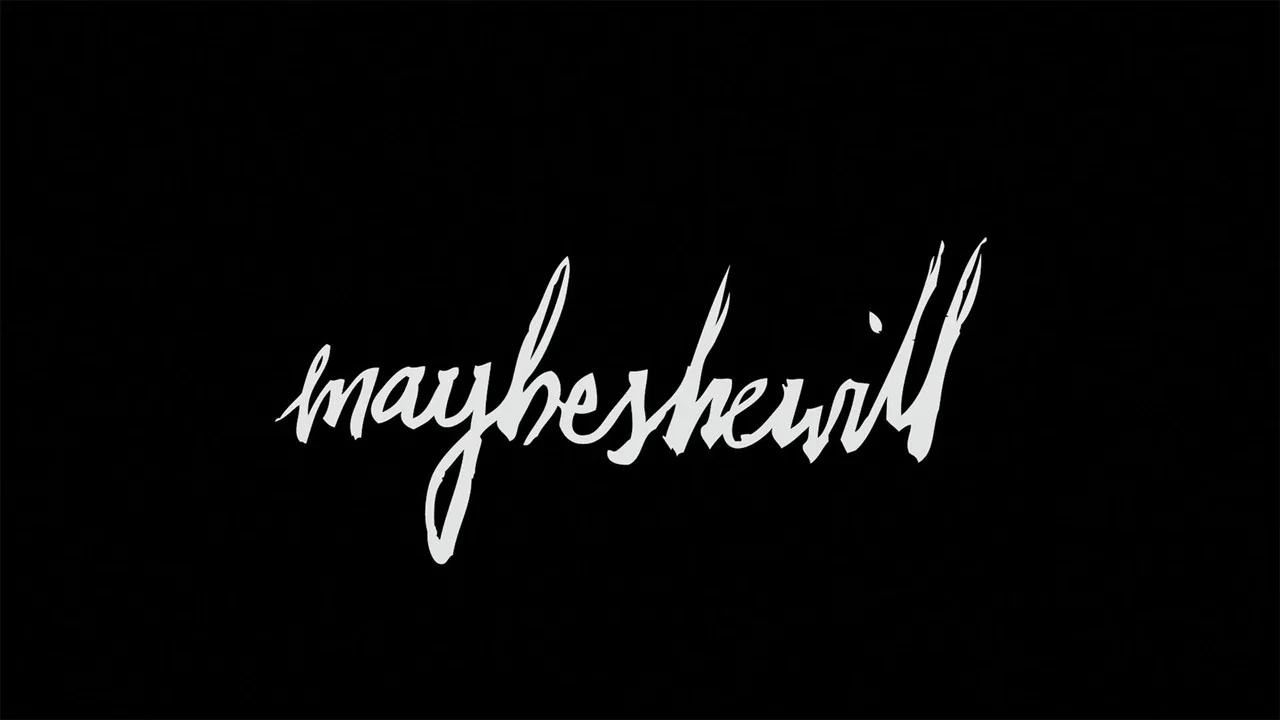 Maybeshewill: Live At The Y Theatre - 剧照