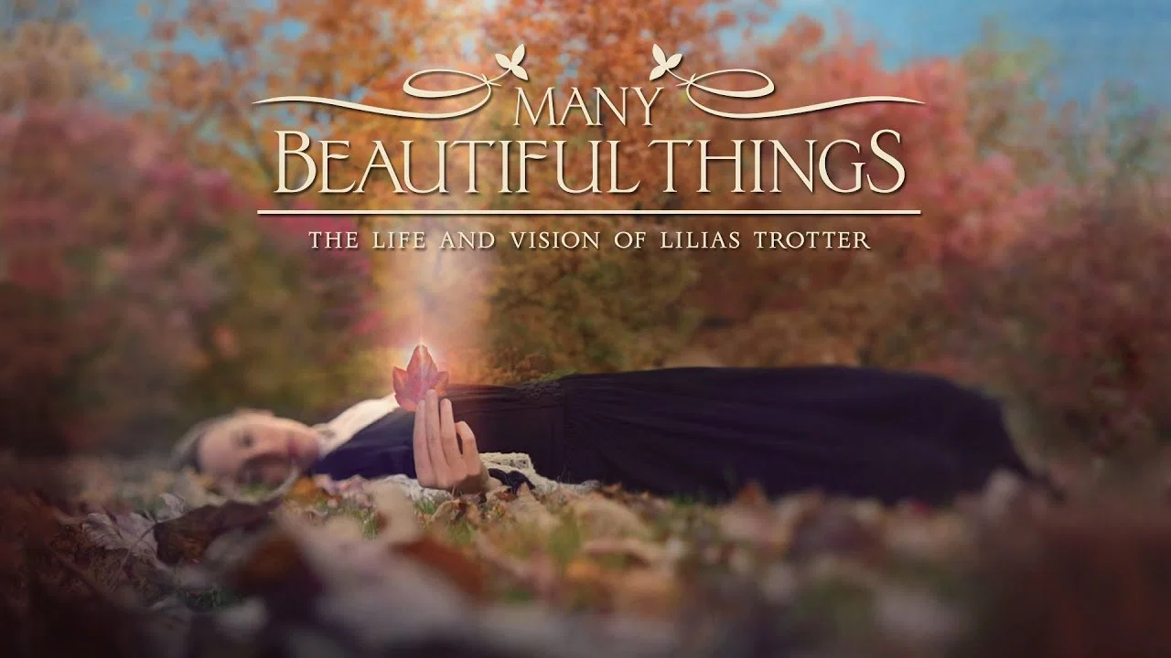Many Beautiful Things - 剧照