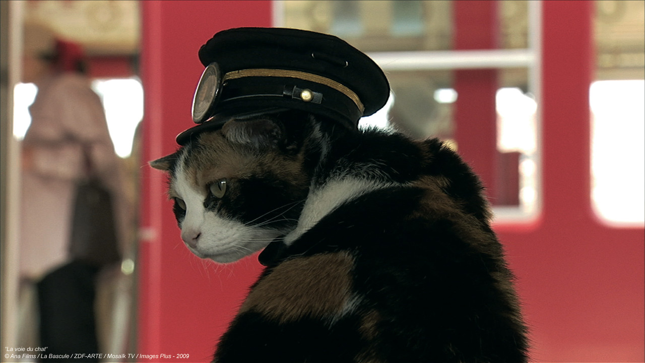 La voie du chat - 剧照