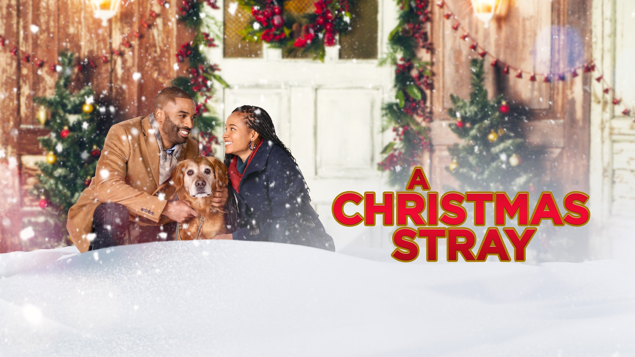 A Christmas Stray - 剧照
