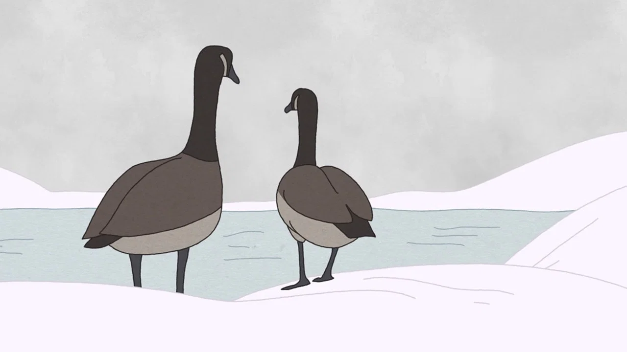 Hudson Geese - 剧照