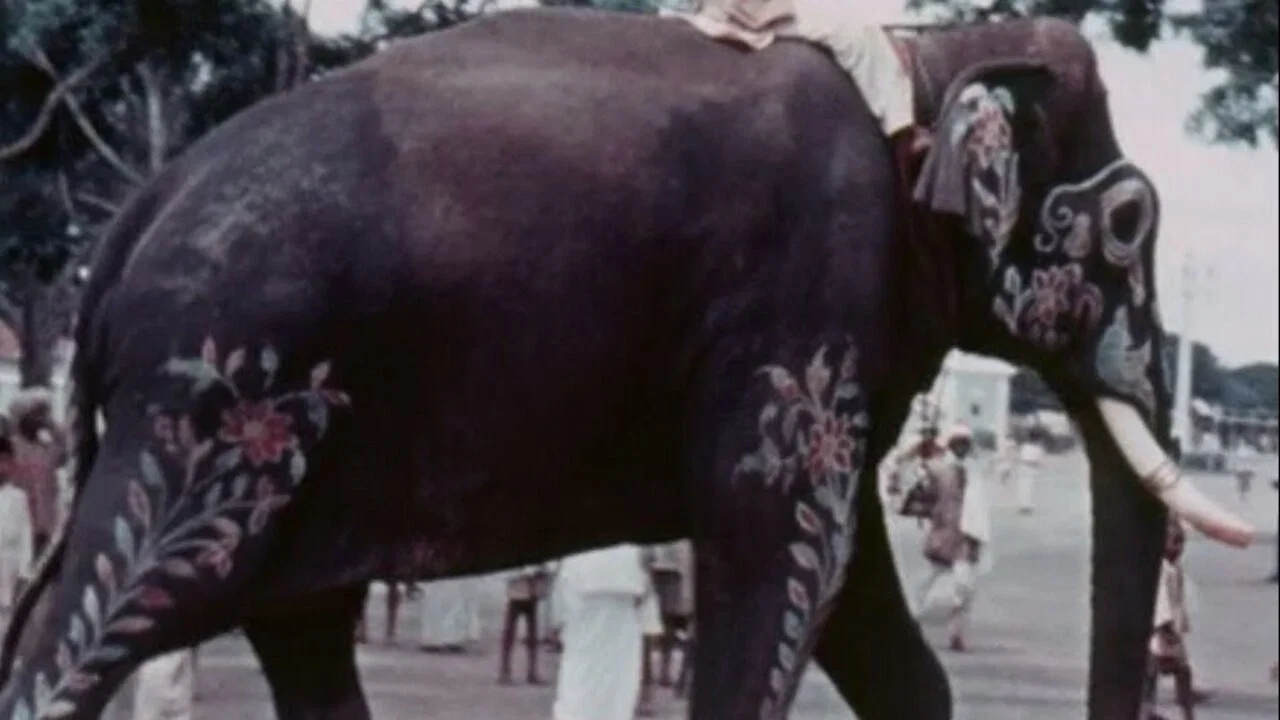 Mysore - 剧照
