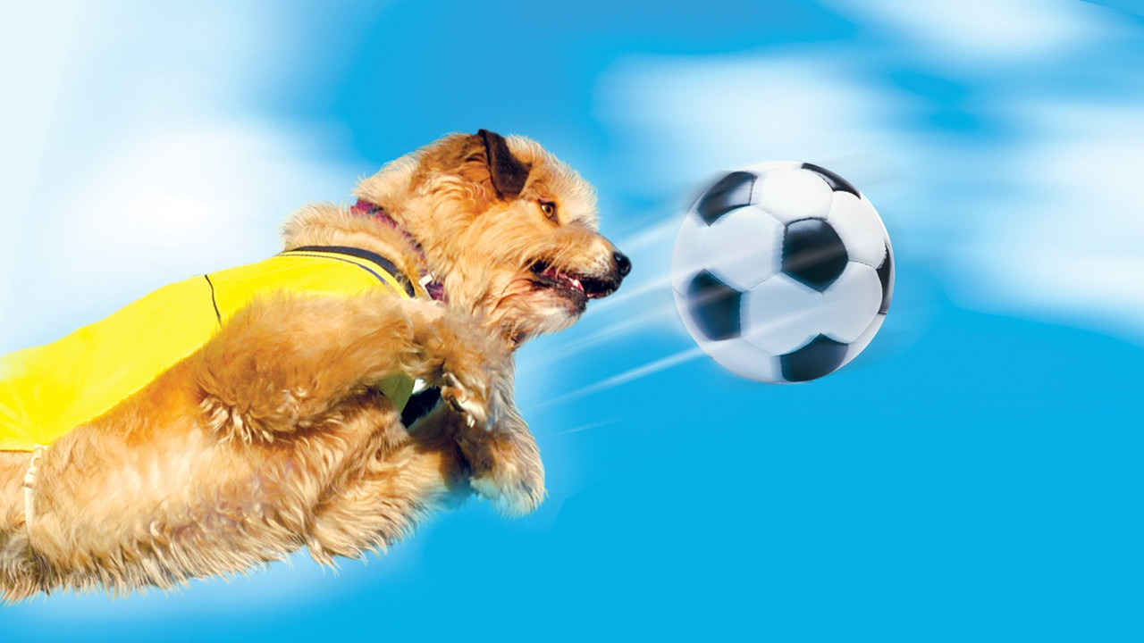 Soccer Dog: European Cup - 剧照