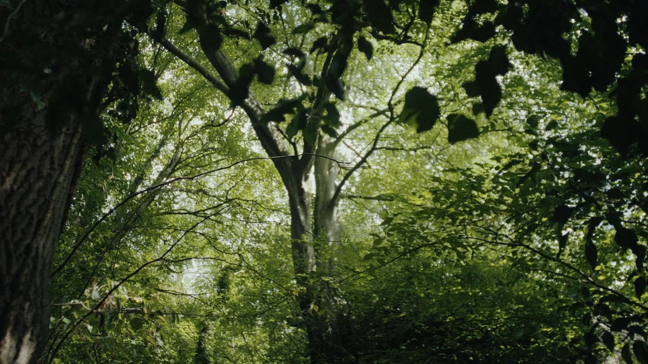 Wilderness - 剧照